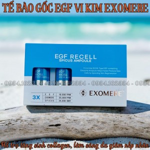 TẾ BÀO GỐC EGF VI KIM EXOMERE (CĂNG BÓNG DA GIẢM NHĂN)