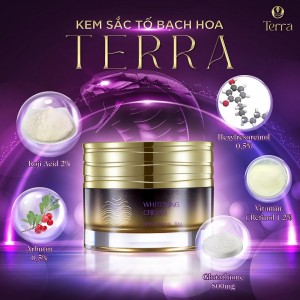 KEM SẮC TỐ BẠCH HOA TERRA