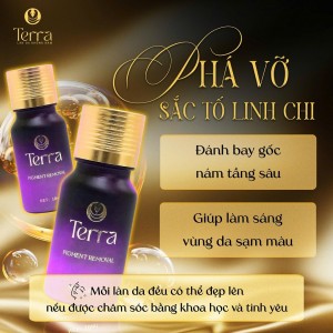 SERUM PHÁ VỠ SẮC TỐ LINH CHI TERRA