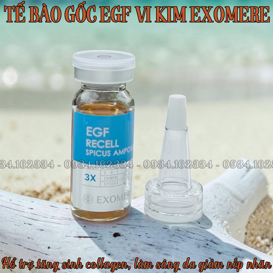 TBG EGF 334 2